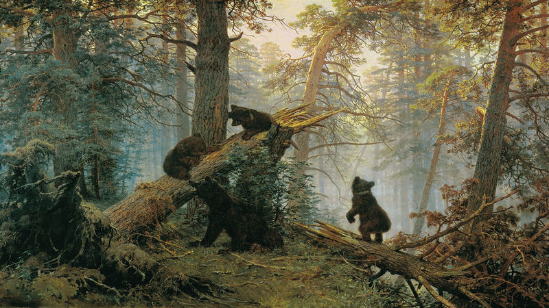 медведи